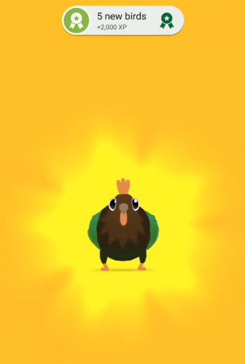 pigeonpop官方下载入口